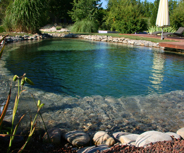 PISCINE NATURELLE : COÛT D’ENTRETIEN, ASPECT ÉCOLOGIQUE ET SÉCURITÉ